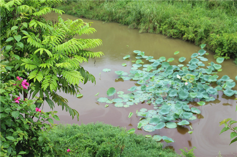 镒辰,镒辰集团,镒辰智造,镒辰钢铁,奥特浦斯,天津奥特浦斯