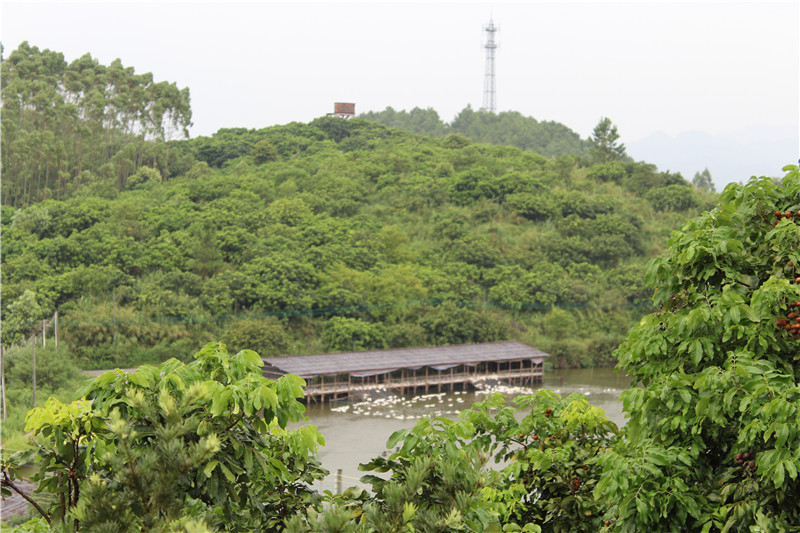 镒辰,镒辰集团,镒辰智造,镒辰钢铁,奥特浦斯,天津奥特浦斯